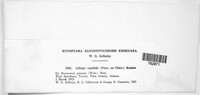 Image Associated With the Occurence